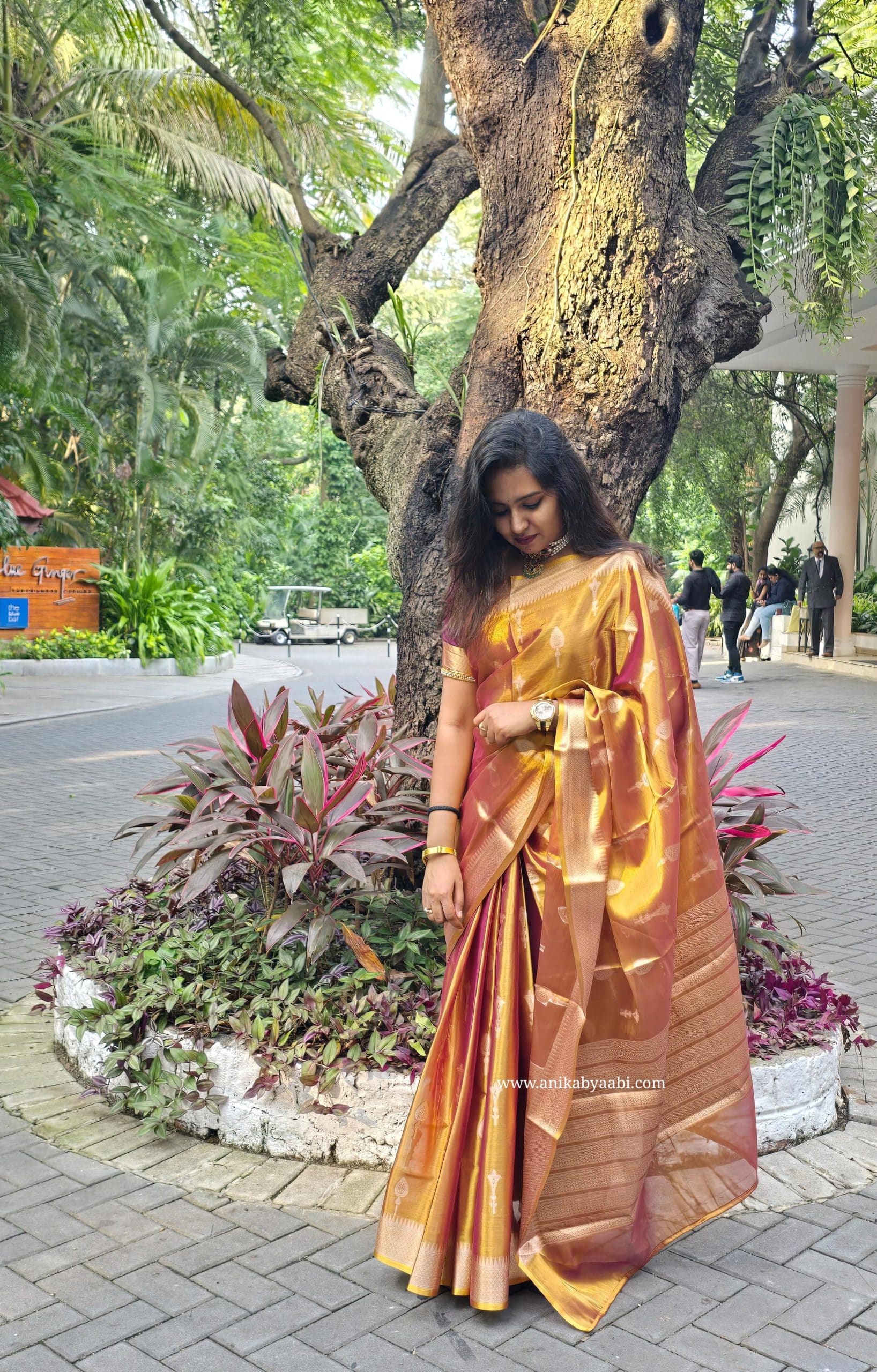 TIRA2-ANTIQUE GOLD SAREE