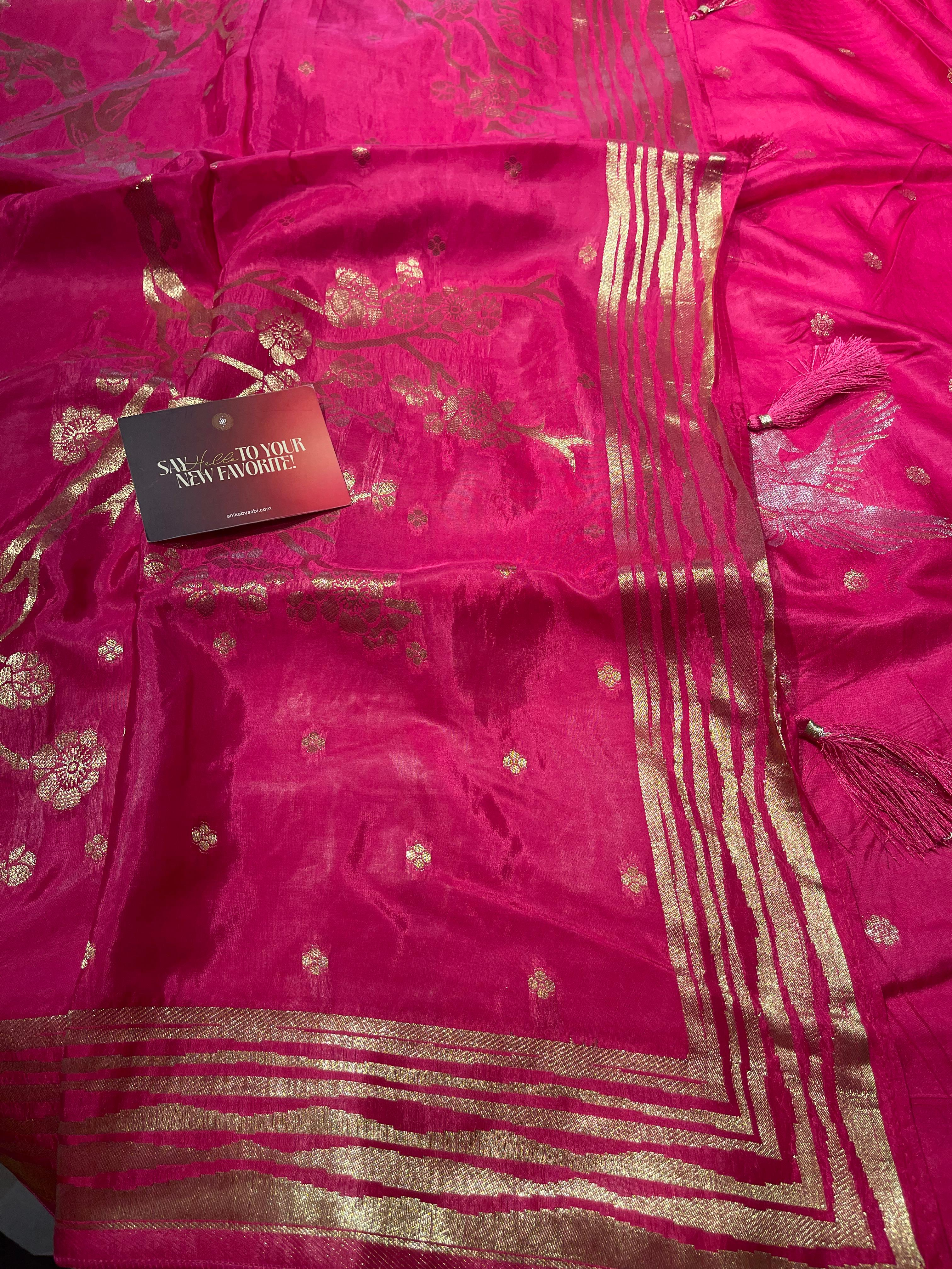 Anika's Soft Silk Saree -02