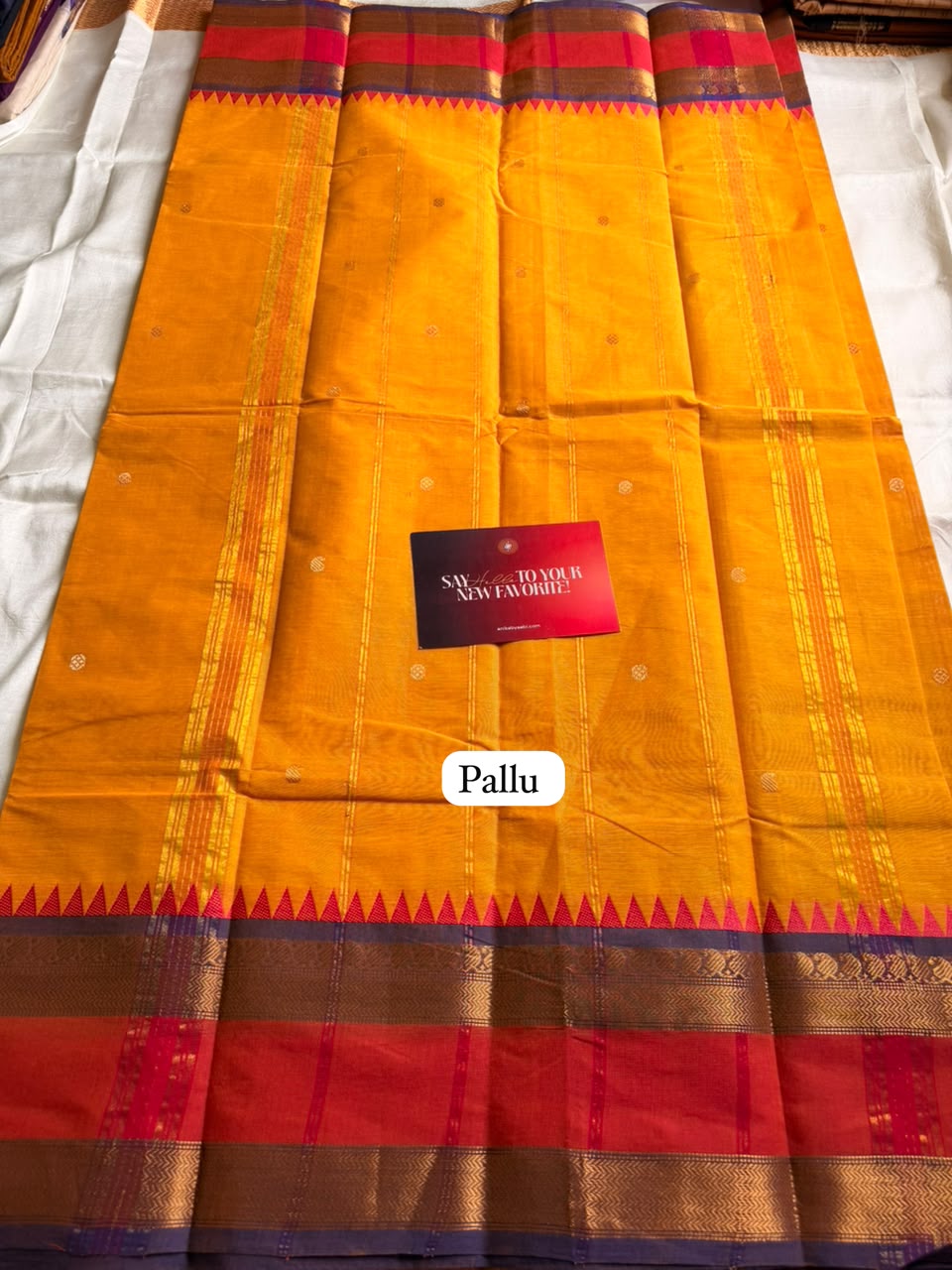 Kanchi Cotton Saree – KCS05