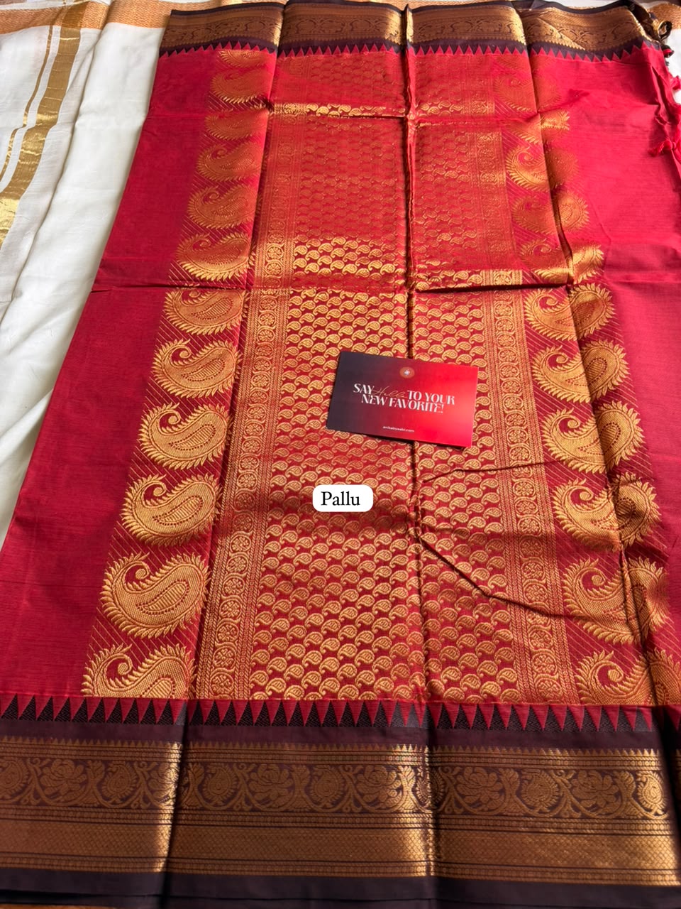Kanchi Cotton Saree – KCS15