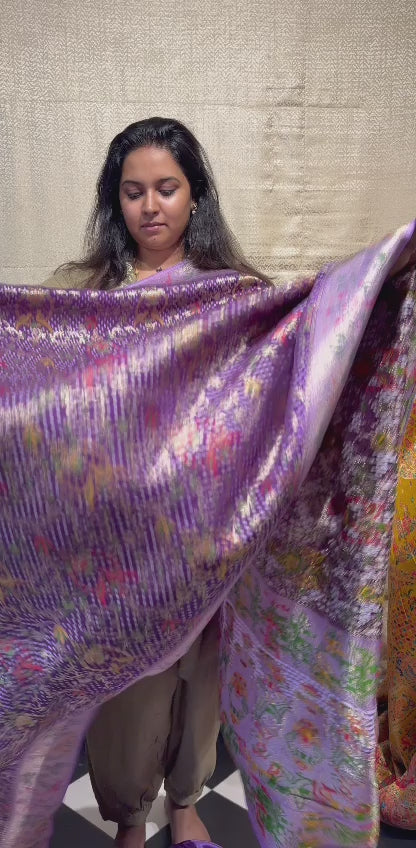 Pashmina Saree - PS51