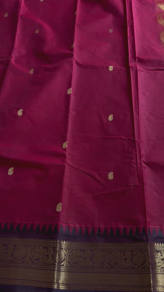 Kanchi Cotton Saree – KCS15